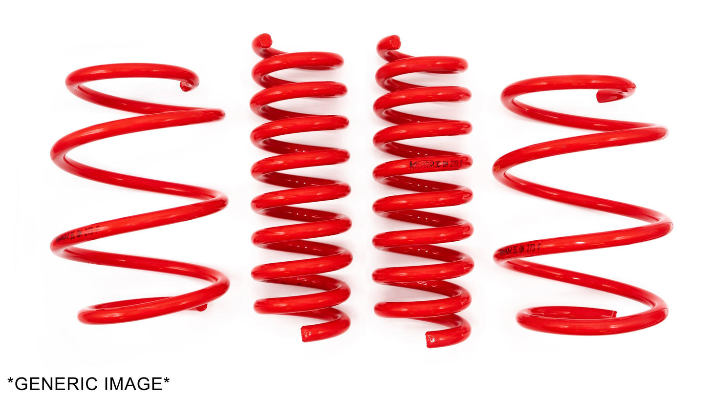 V-Maxx, Lowering Springs (35 BM 260)